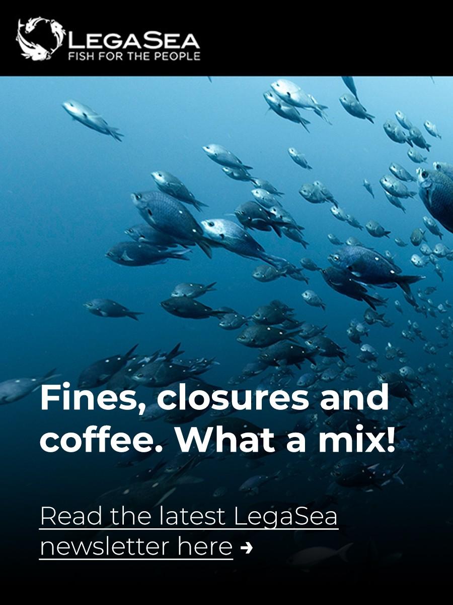 Latest LegaSea newsletter - Fines, closures and coffee. What a mix for sale