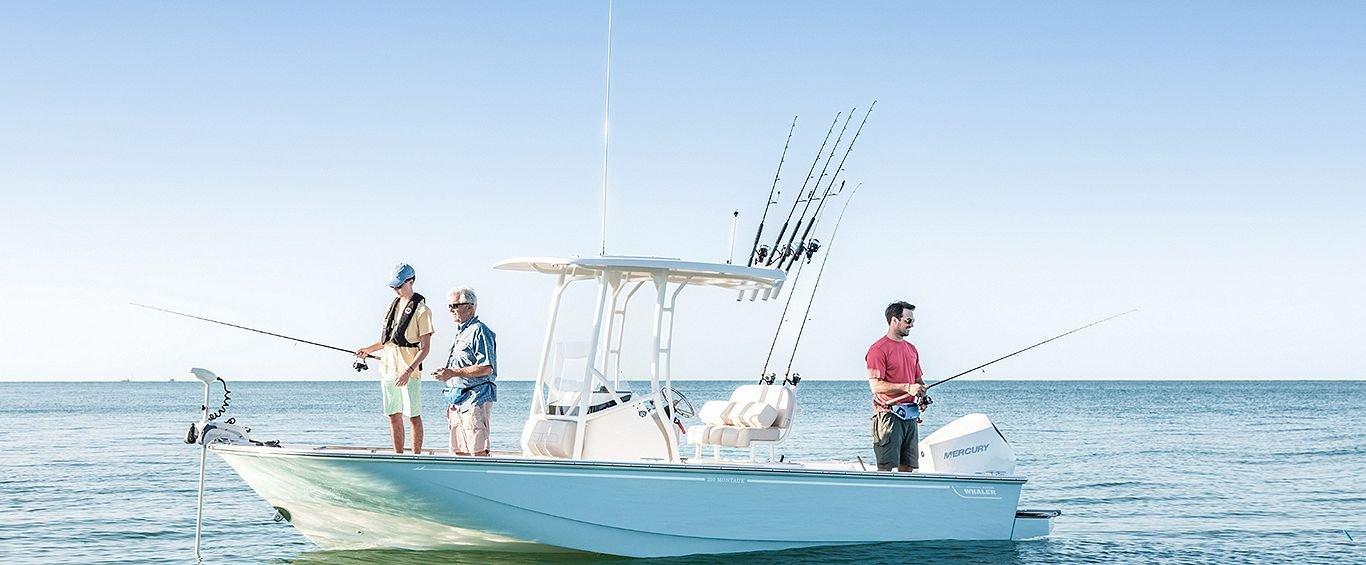Boston Whaler 210 Montauk