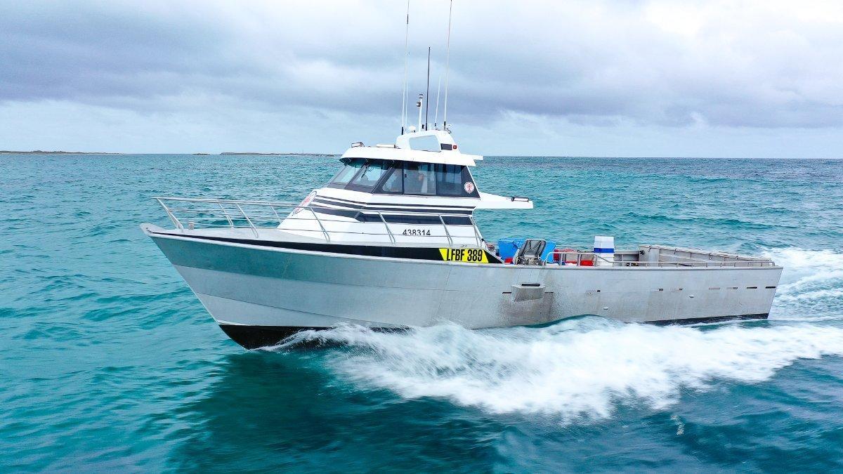 Millman 17M Line Series Maxivision