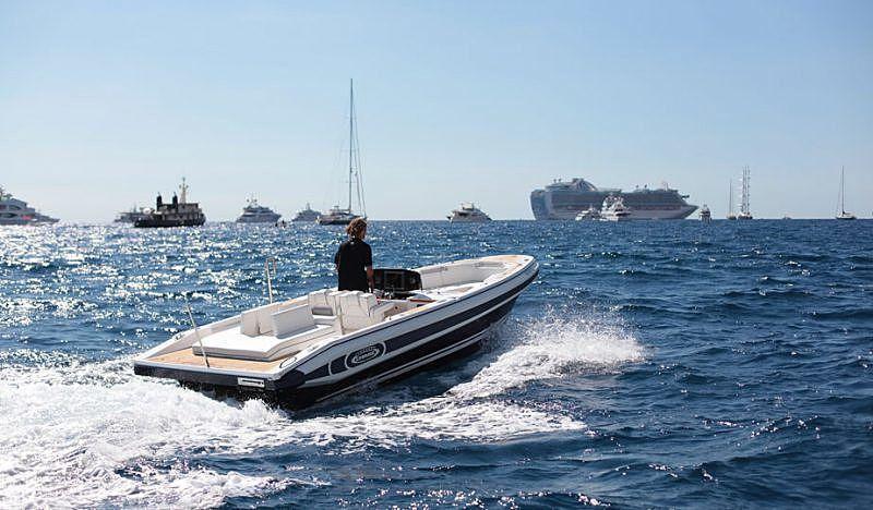 Novurania Chase 23