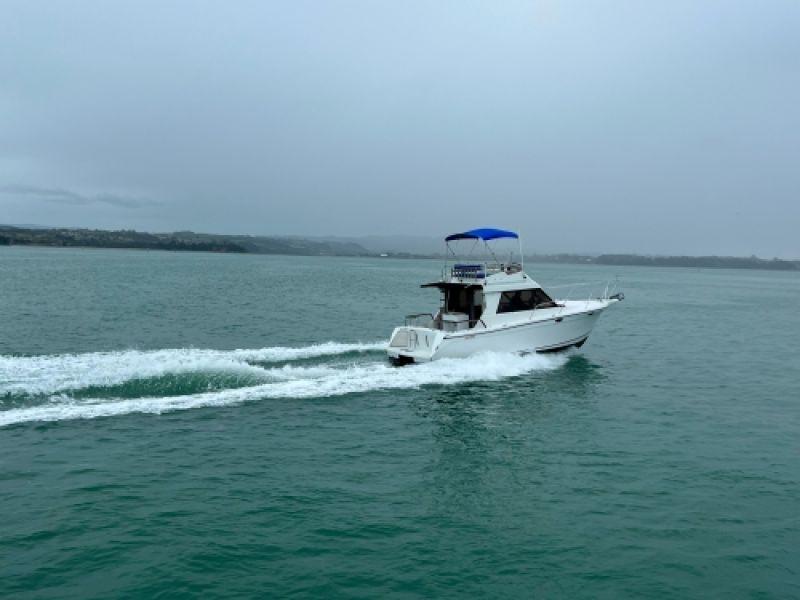 Photo 25