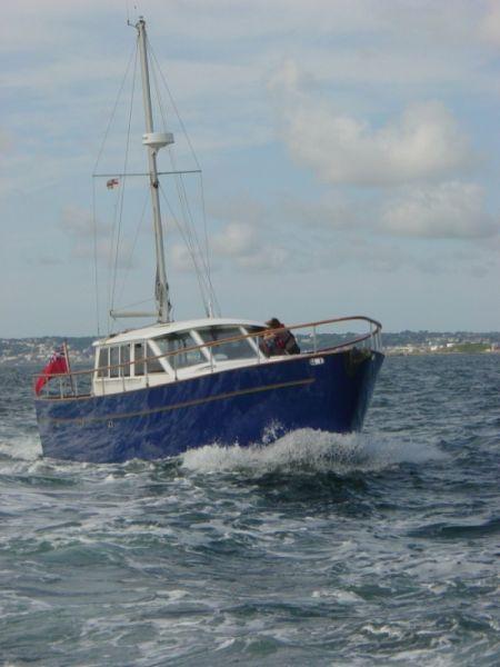 Photo 37