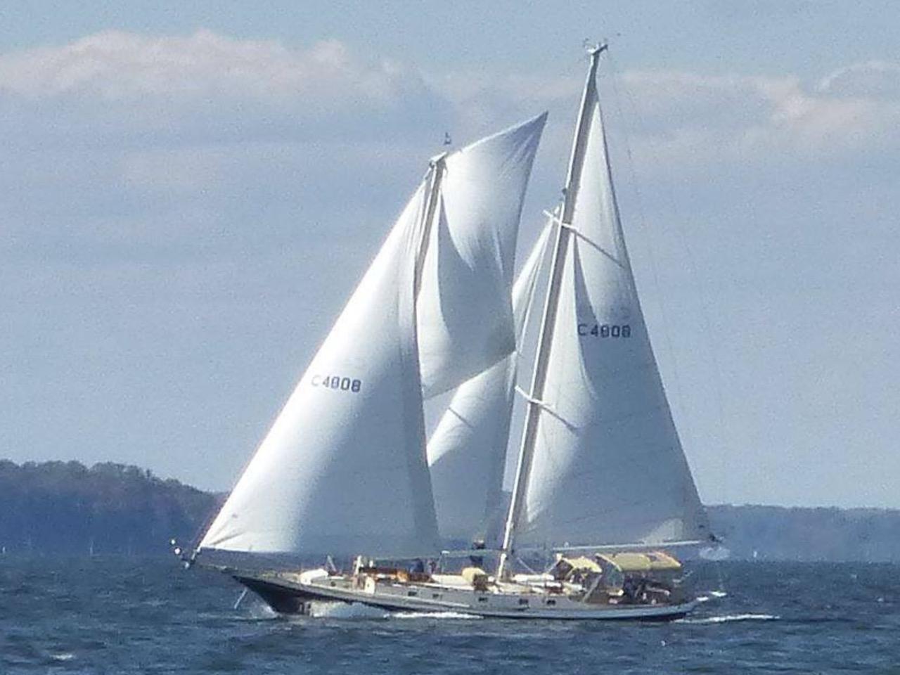 Cherubini Schooner for sale