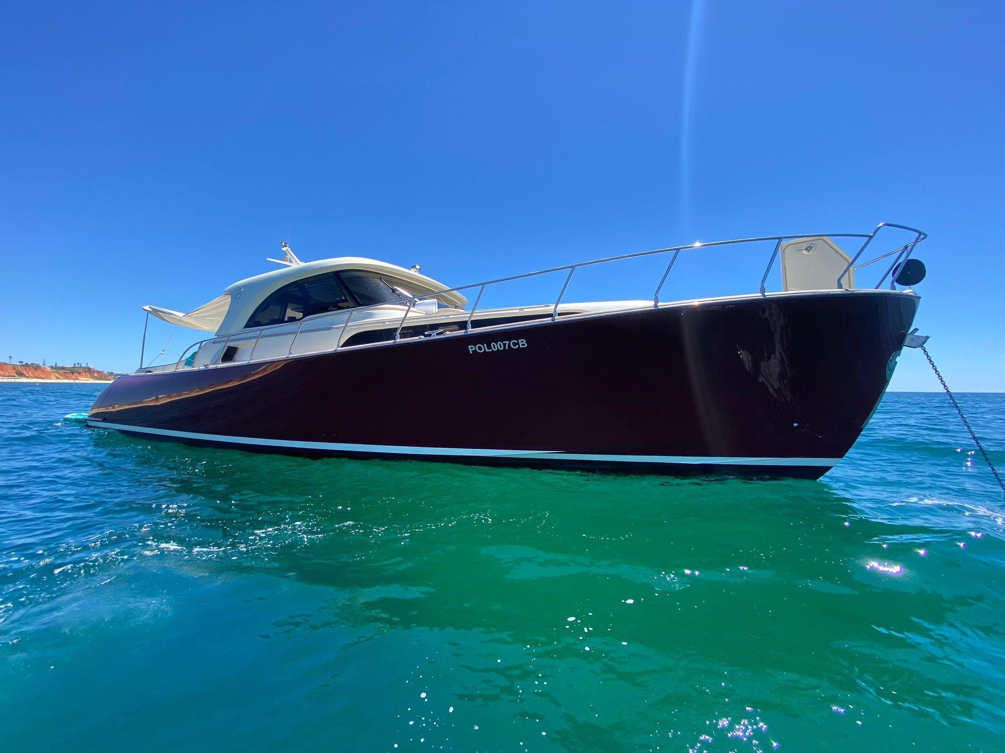 Mochi Craft 51 Dolphin