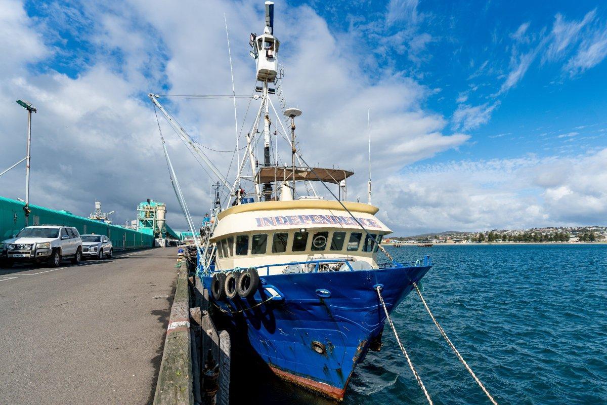 Adelaide Ship Construction Tuna Purse Seiner