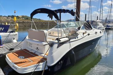 Sea Ray 255 Sundancer