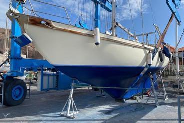 Tradewind 39