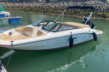 Sea Ray 190 SPX OB
