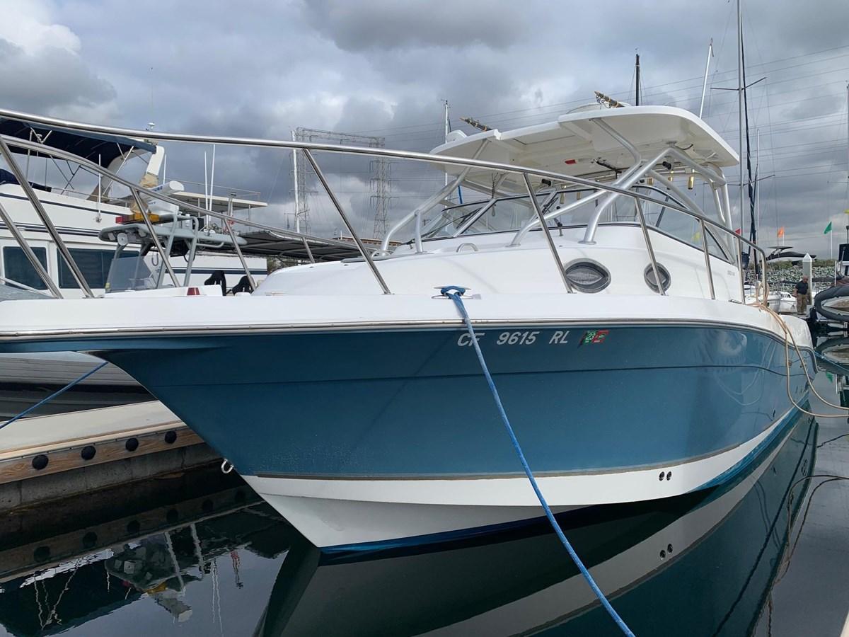 SEASWIRL STRIPER