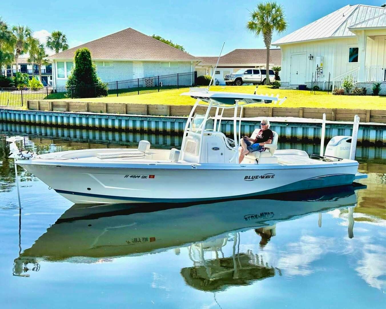 Blue Wave 2800 Pure Hybrid