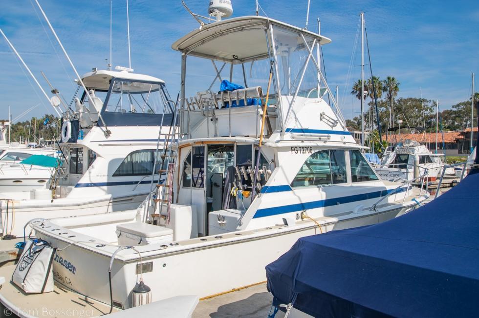 Bertram 35 Convertible