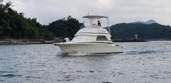 Bertram 37