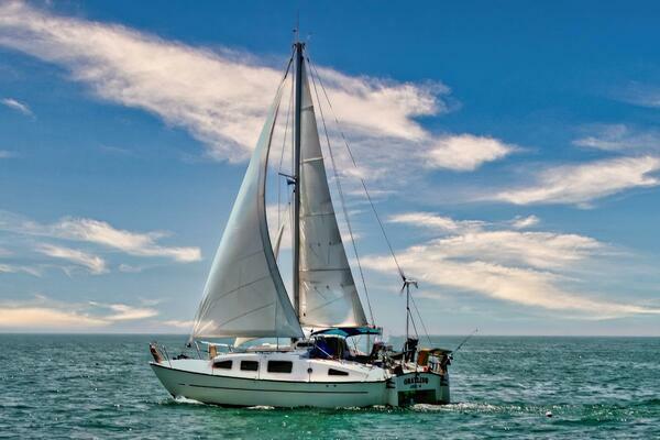 Ocean Winds 33