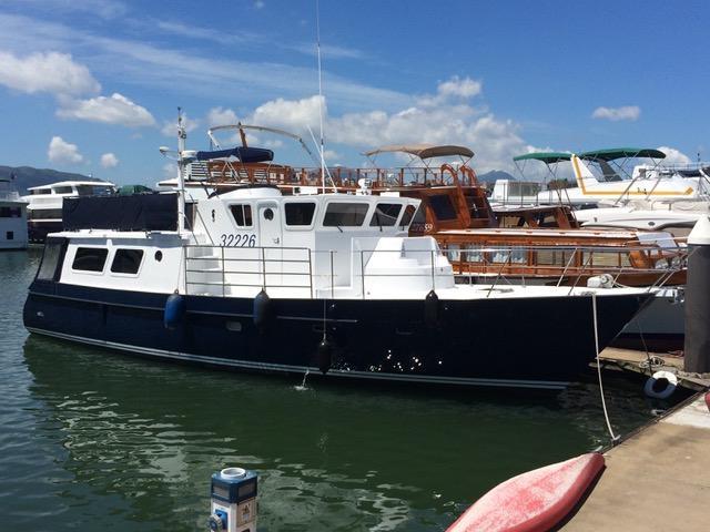 Seahorse 52