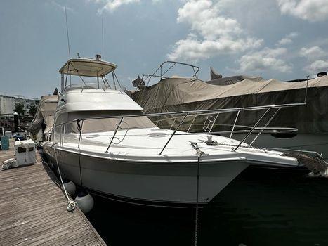 Riviera 37