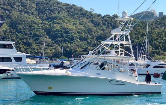 Cabo Cruiser Cruiser