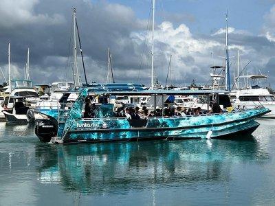 Alumarine 12.0 Z Bow Mono
