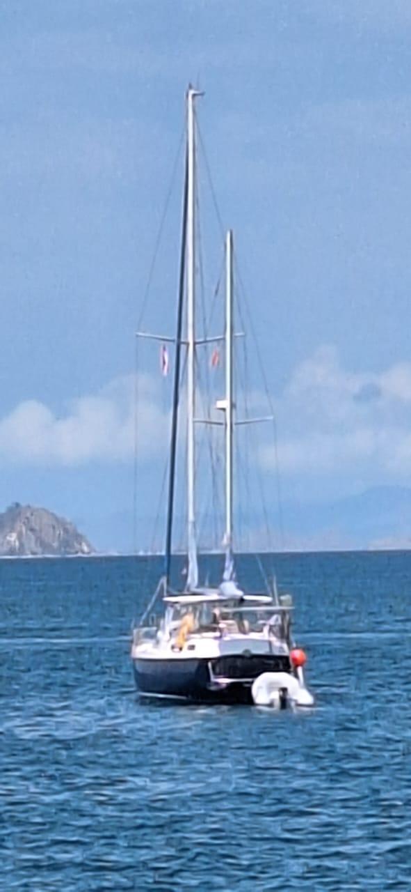 Photo 46