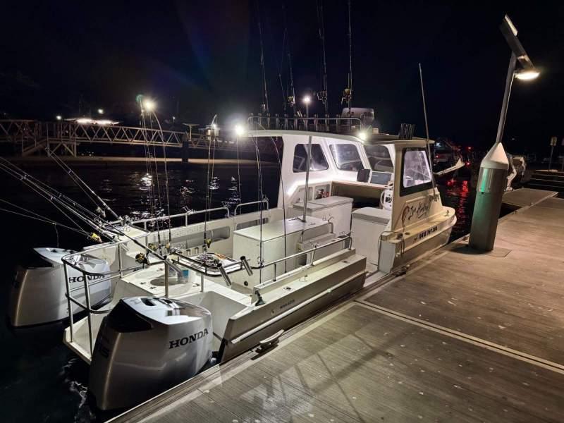 Devil Cat 6.6m
