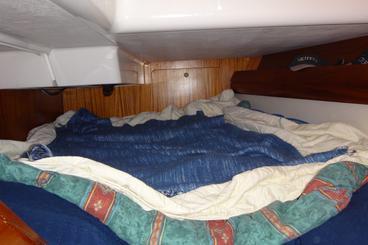 Photo 39