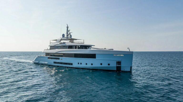 Admiral Crocus 48