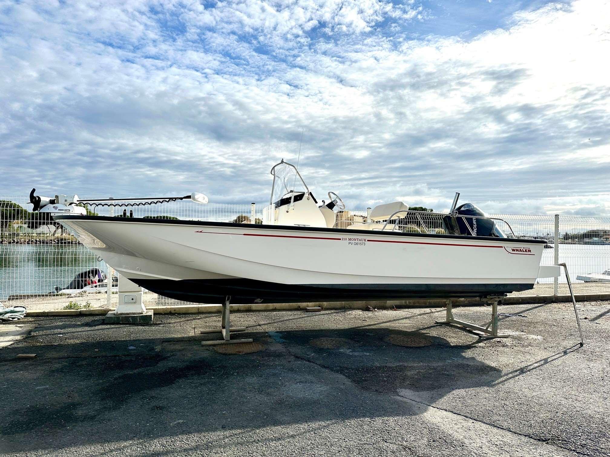 Boston Whaler 210 Montauk