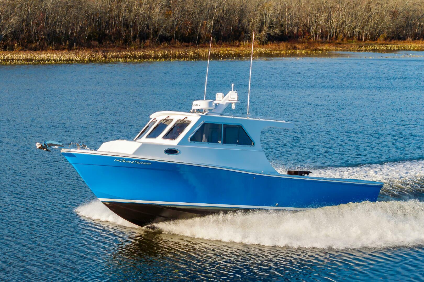 Custom Chesapeake Bay Loose Cannon 33