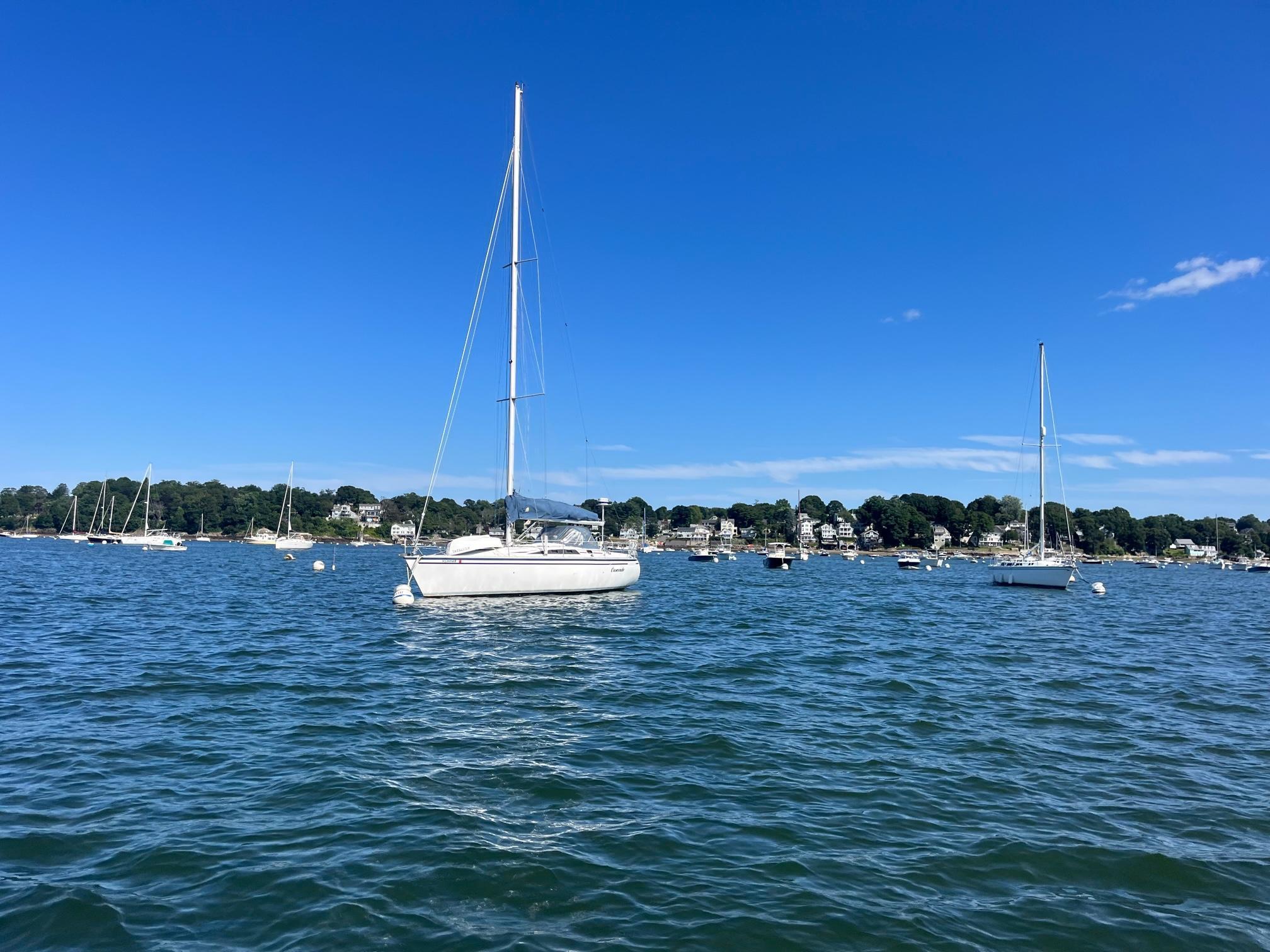 Hunter Legend 37