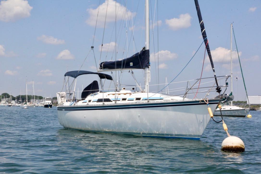 Hunter 31