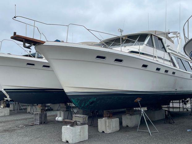 Bayliner 4588 Pilothouse Motor Yacht