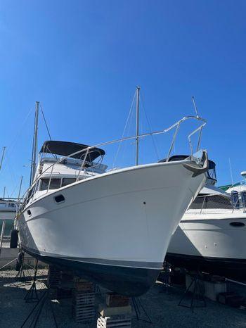 Bayliner 3888 Motoryacht