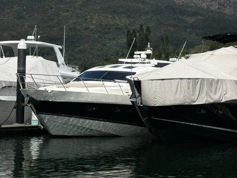 Princess V65