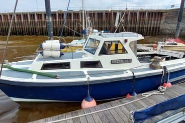 Mitchell 31 Mk1