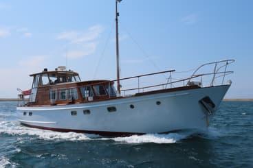Fleur De Lys 50