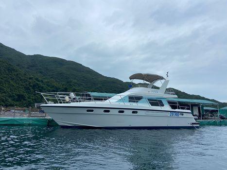 Sea Hawk 45