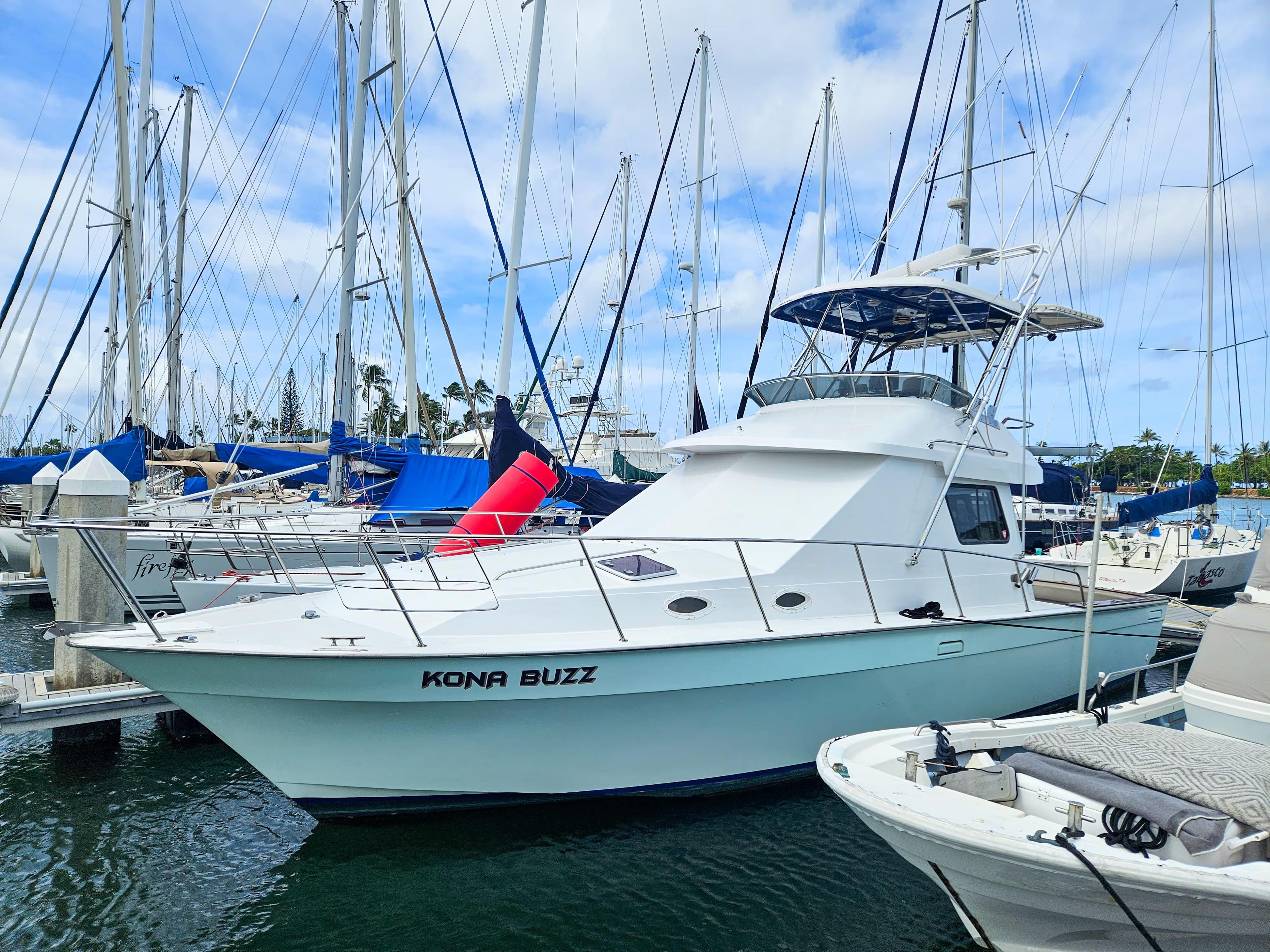 Mediterranean 38