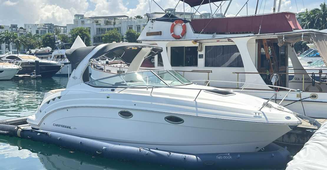 Chaparral 250 Signature