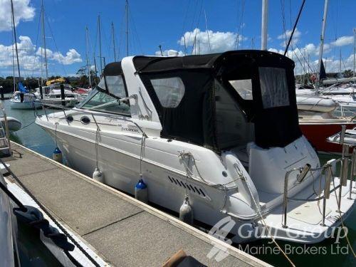 Sea Ray 290 Sundancer