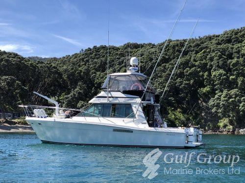 Riviera 44