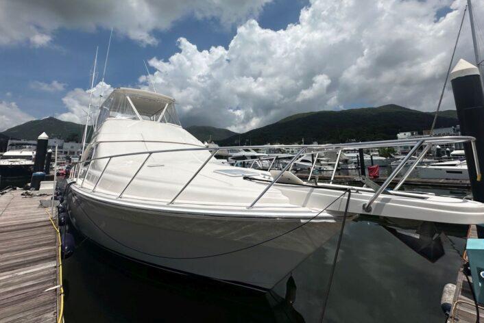 Bertram 51