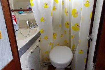 Photo 31