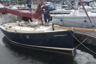 Cornish Shrimper 19