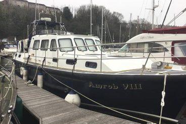 Amrob 38