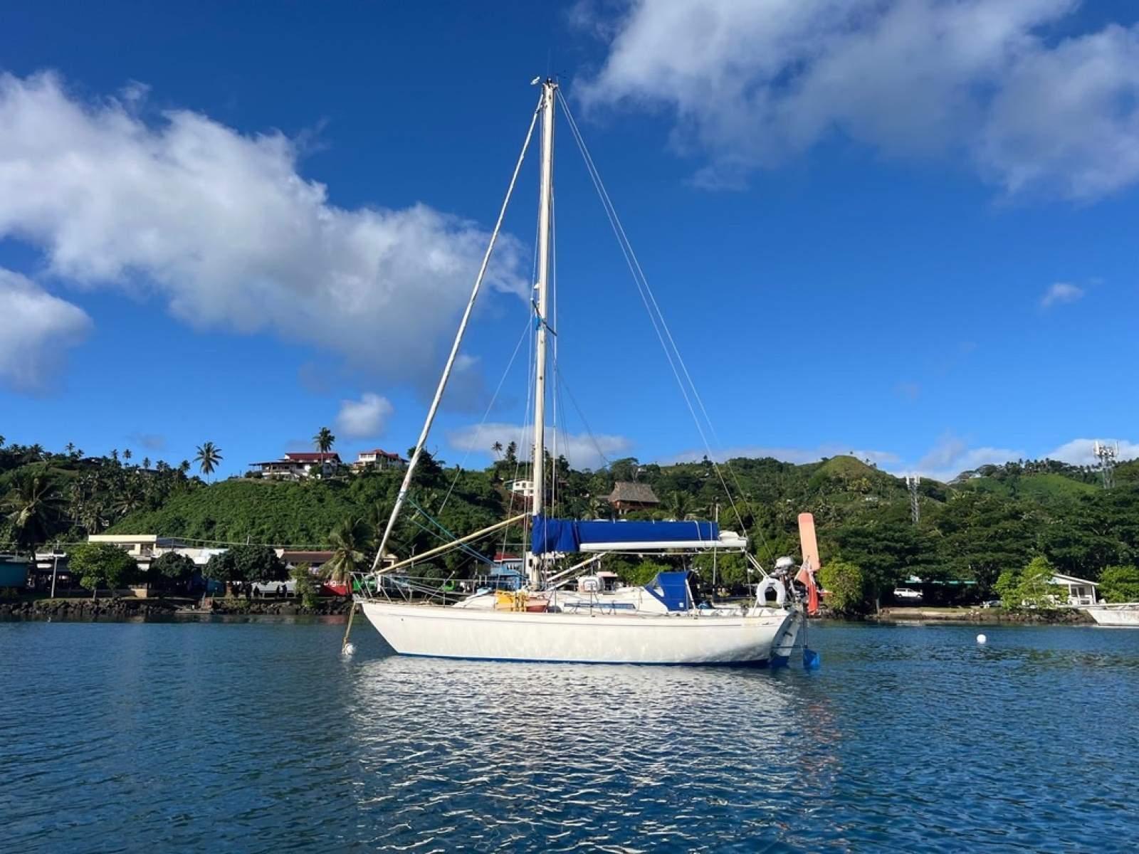 Nicholson 31