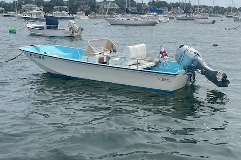 Boston Whaler 17 Montauk