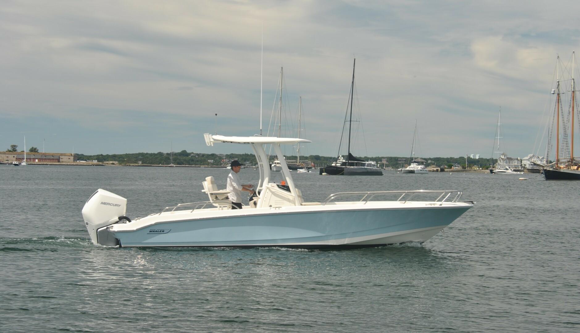 Boston Whaler 250 Dauntless