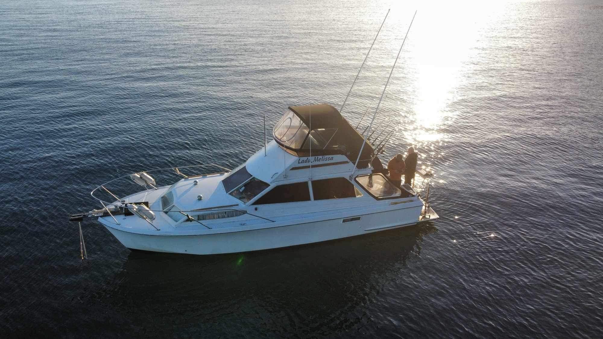 Vindex 32