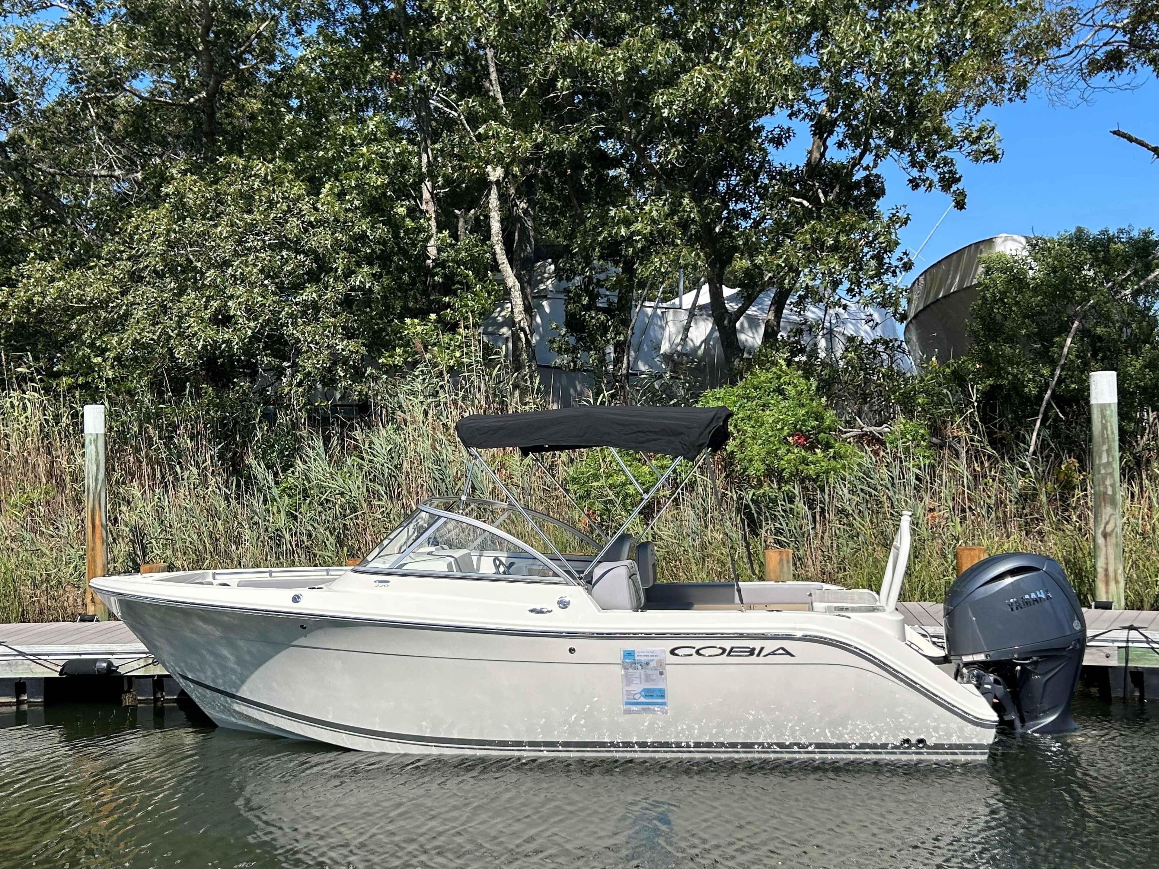 Cobia 220 DC