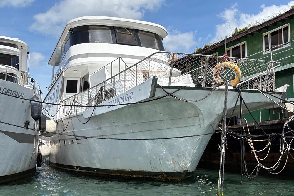 Mandarin Yachts Cipango