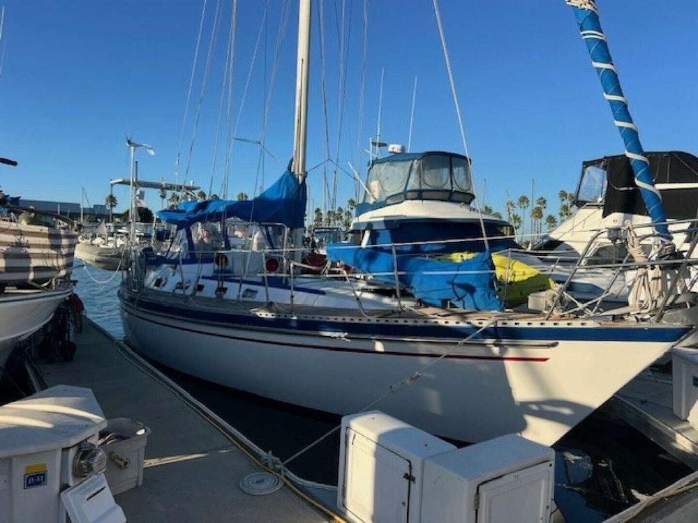 Tayana V42